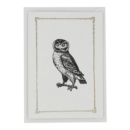 Letterpress Owl Greetings Card