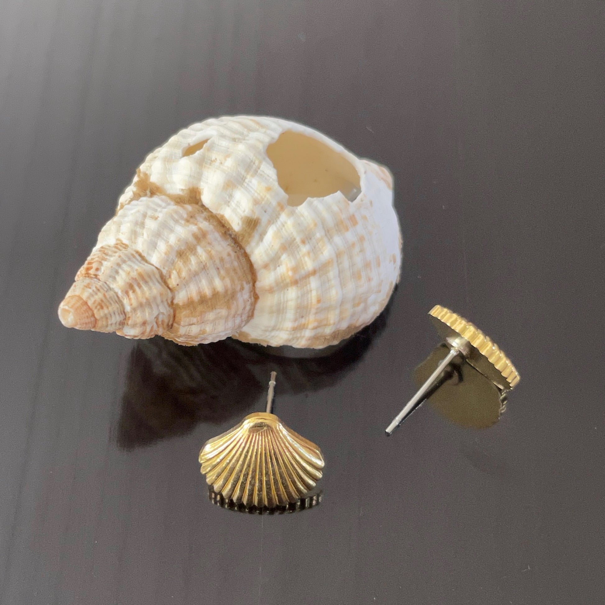 Irth Brass Shell Studs with Shell
